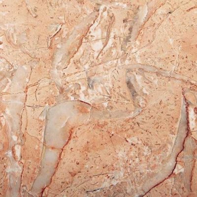 Spring-Rose-1.jpeg